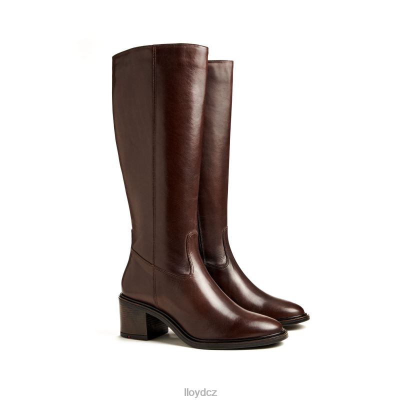 bota LLOYD ženy hnědý ZXP0D1191 obuv