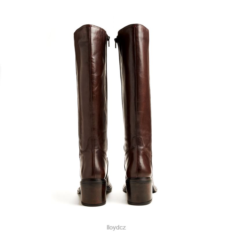 bota LLOYD ženy hnědý ZXP0D1191 obuv