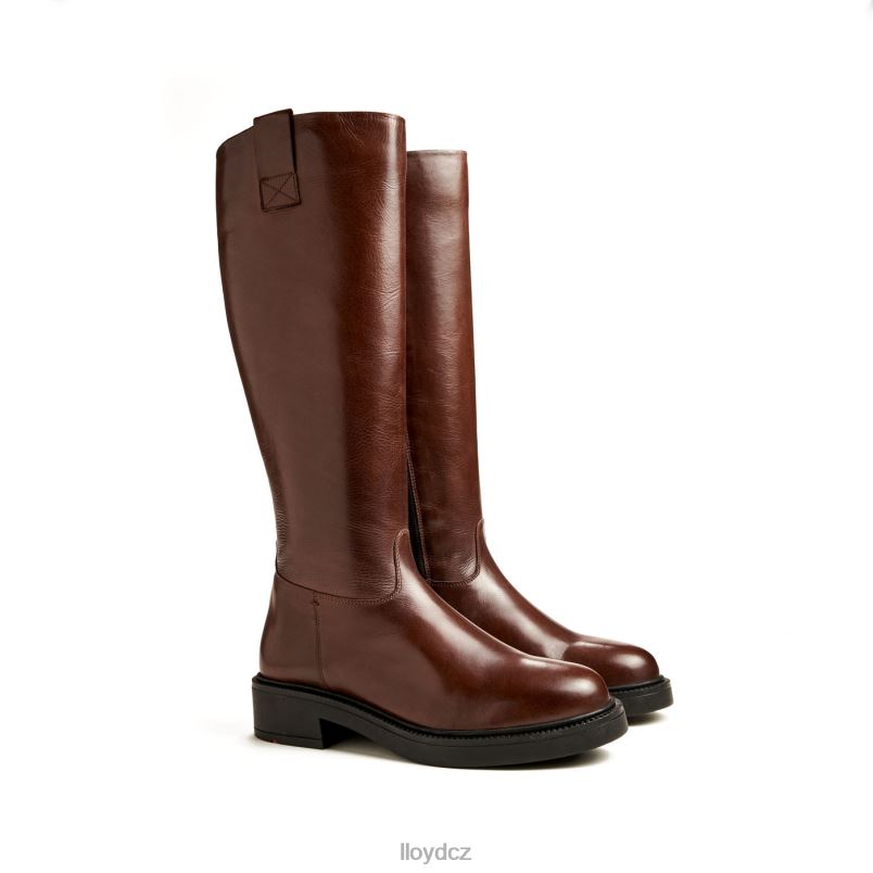 bota LLOYD ženy hnědý ZXP0D1193 obuv
