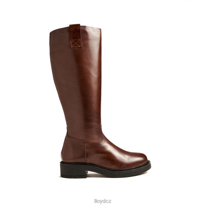 bota LLOYD ženy hnědý ZXP0D1193 obuv