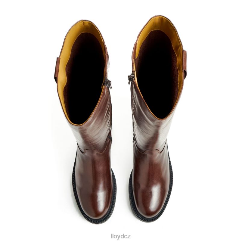 bota LLOYD ženy hnědý ZXP0D1193 obuv