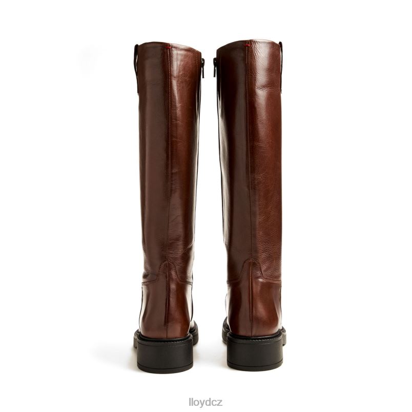 bota LLOYD ženy hnědý ZXP0D1193 obuv
