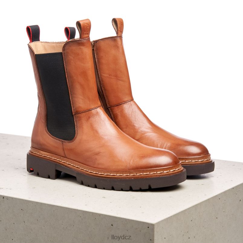 stiefelette LLOYD ženy hnědý ZXP0D963 obuv