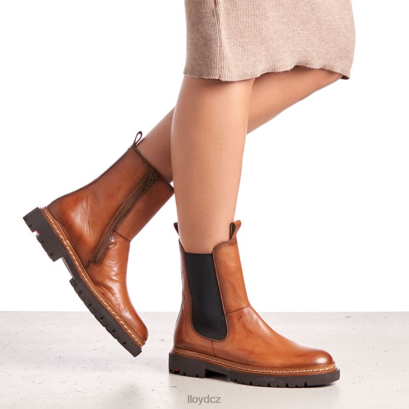 stiefelette LLOYD ženy hnědý ZXP0D963 obuv