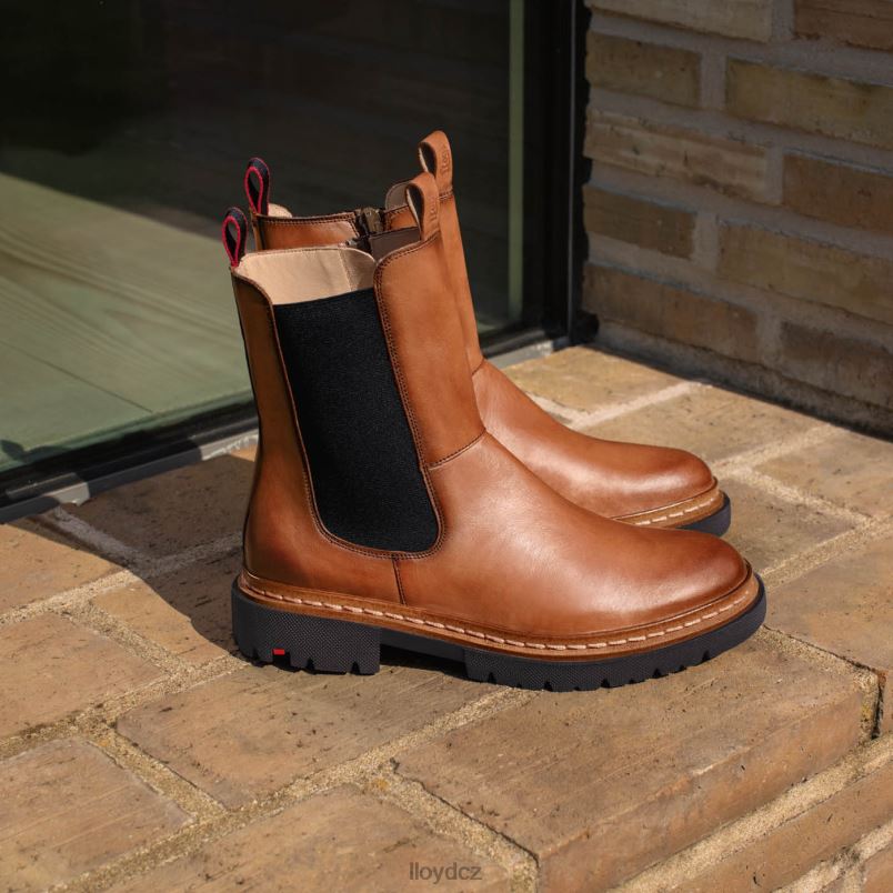 stiefelette LLOYD ženy hnědý ZXP0D963 obuv