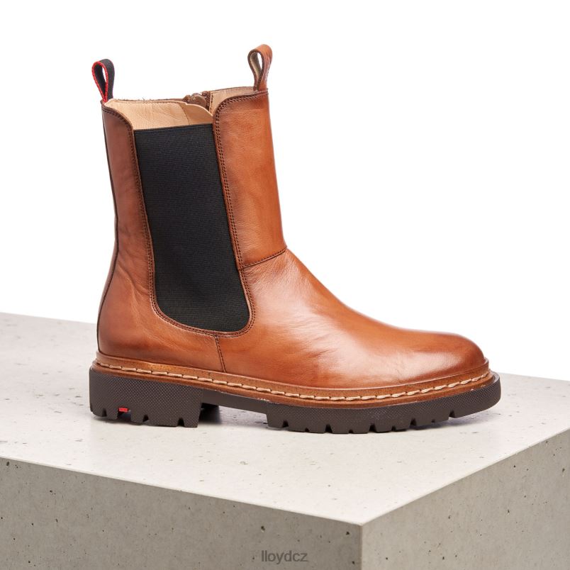 stiefelette LLOYD ženy hnědý ZXP0D963 obuv