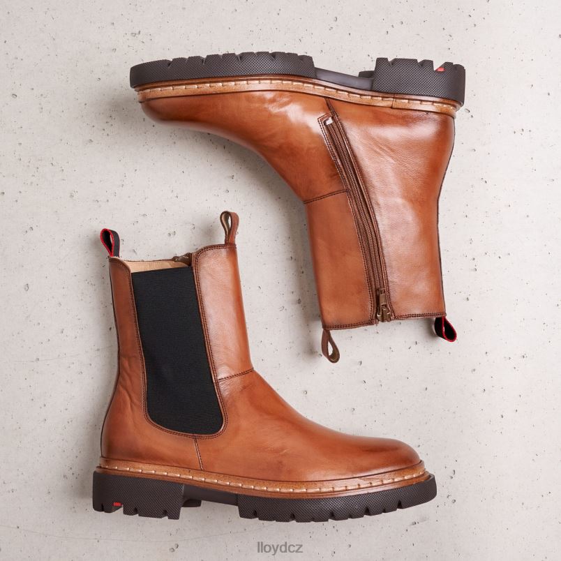 stiefelette LLOYD ženy hnědý ZXP0D963 obuv