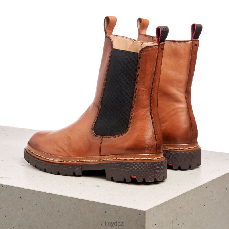 stiefelette LLOYD ženy hnědý ZXP0D963 obuv